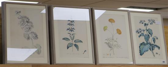 After I.Edwards, Fifteen botanical prints 34 x 23cm.